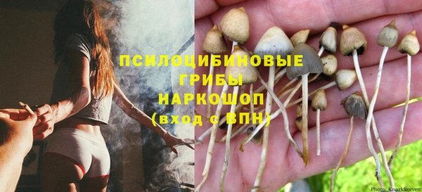MDMA Premium VHQ Гусиноозёрск