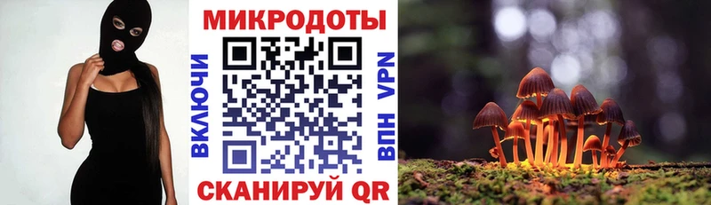Купить закладки  Котельники  Псилоцибиновые грибы мухоморы 